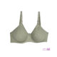سبز ماچا